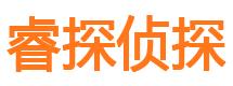 环翠市侦探调查公司